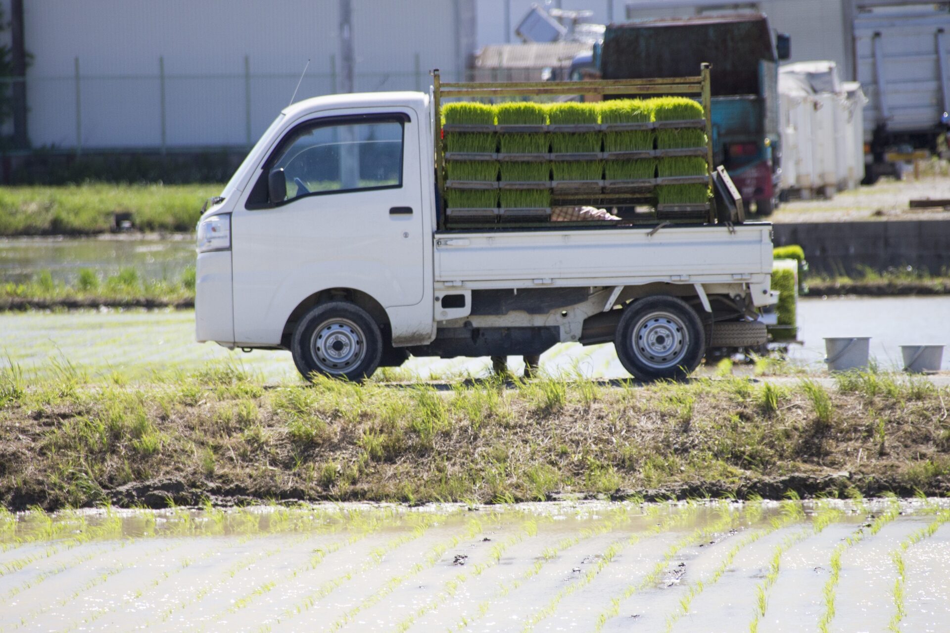 軽トラの荷台サイズを比較！活用法を詳しく解説